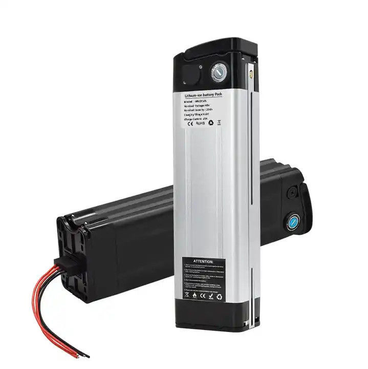 Vélo électrique personnalisé 48 volts 20ah Silver Fish E-Bike batterie au lithium pour Aldi Prophete Mifa, Samsung