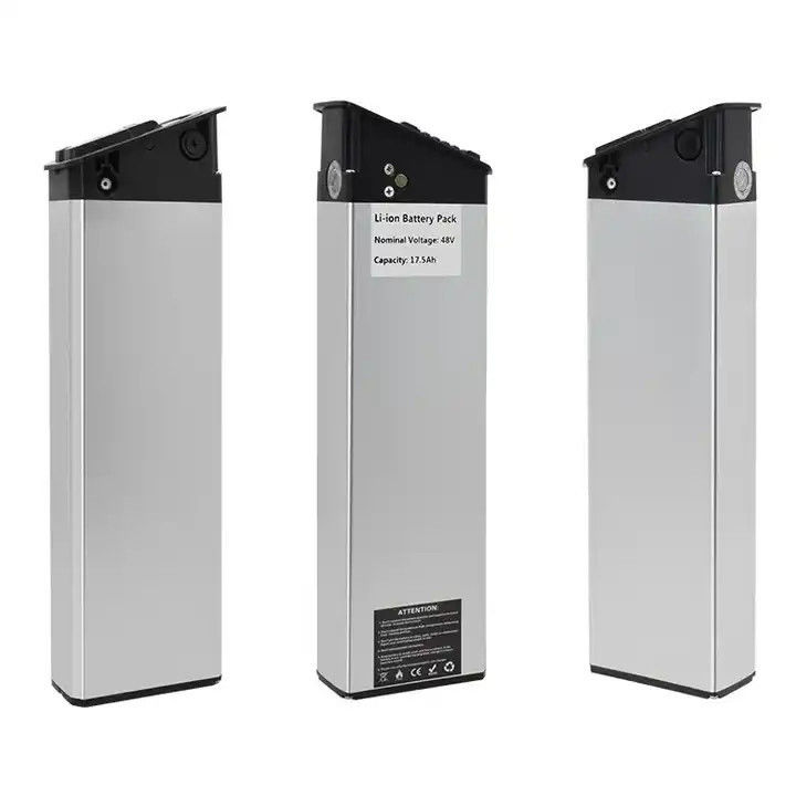 Vélo électrique personnalisé 48 volts 20ah Silver Fish E-Bike batterie au lithium pour Aldi Prophete Mifa, Samsung