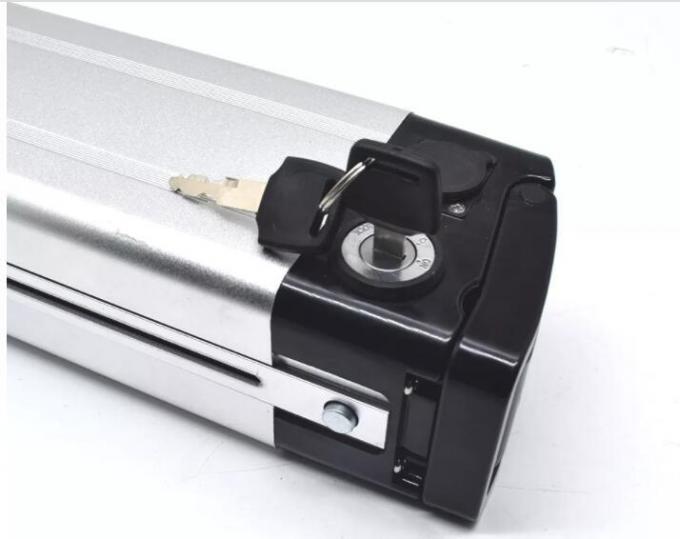 Batterie de vélo électrique à poisson argenté 1000W 24V 36V 48V 10ah 15ah 20ah Batterie de scooter électrique Batterie de vélo 18650 Cell Downtube Batterie à ions de lithium pour une alimentation plus propre 3